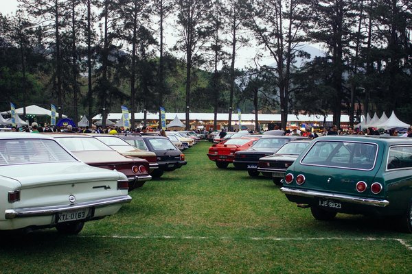 UK Spring Scarf Trends: Unveil This Season's Blossoming Floral Fashion